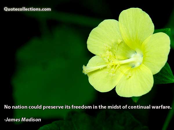 James Madison Quotes5